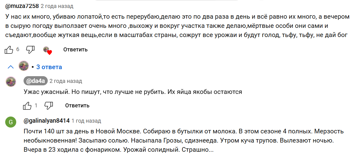 Гигантские испанские слизни снова добрались до Москвы. Чем же они угрожают, и как с ними бороться?