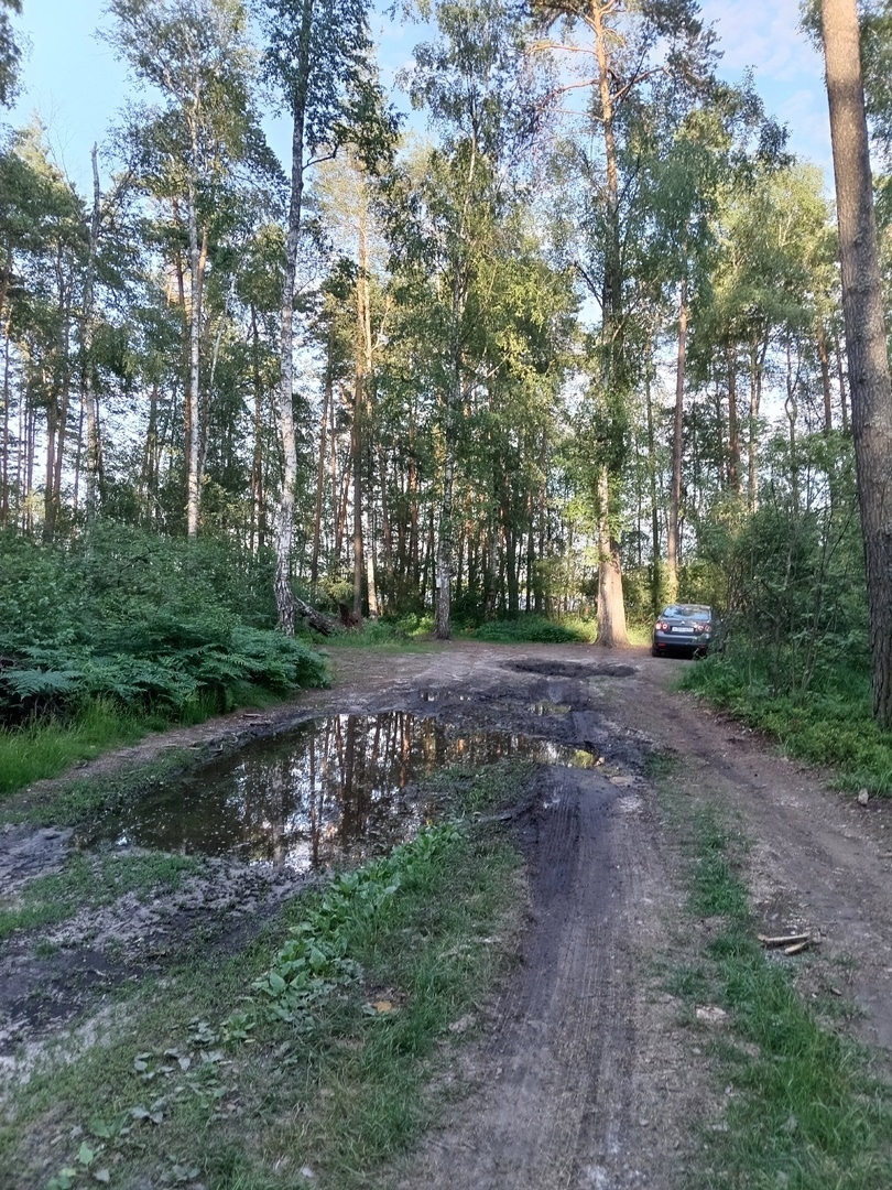 Бывший пионерский лагерь "Лесная сказка" в запущении.
