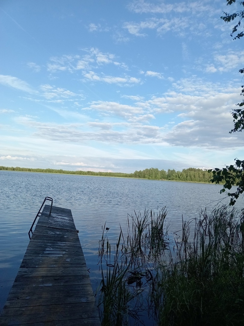 Бывший пионерский лагерь "Лесная сказка" в запущении.