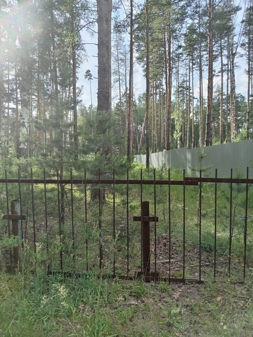 Бывший пионерский лагерь "Лесная сказка" в запущении.