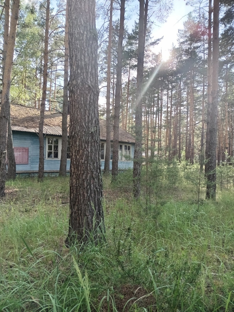 Бывший пионерский лагерь "Лесная сказка" в запущении.