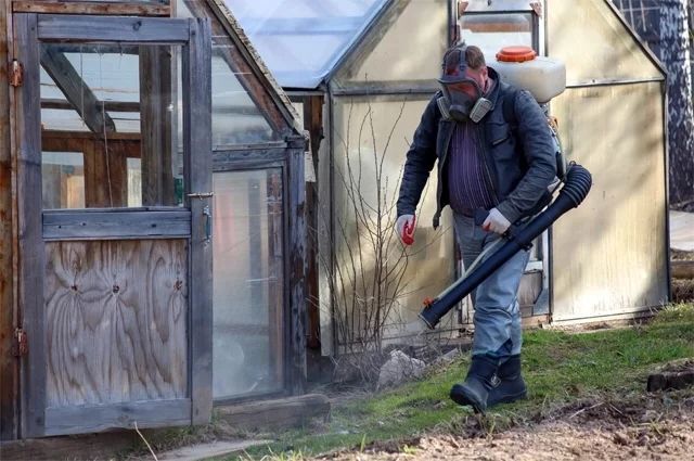 Как часто нужно обрабатывать дачный участок от клещей? Советы и рекомендации