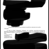 IMG_3475.jpeg