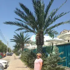 Новый статус Анапы: переход от города к городскому округу. Какие последствия для местных жителей и гостей ожидаются?