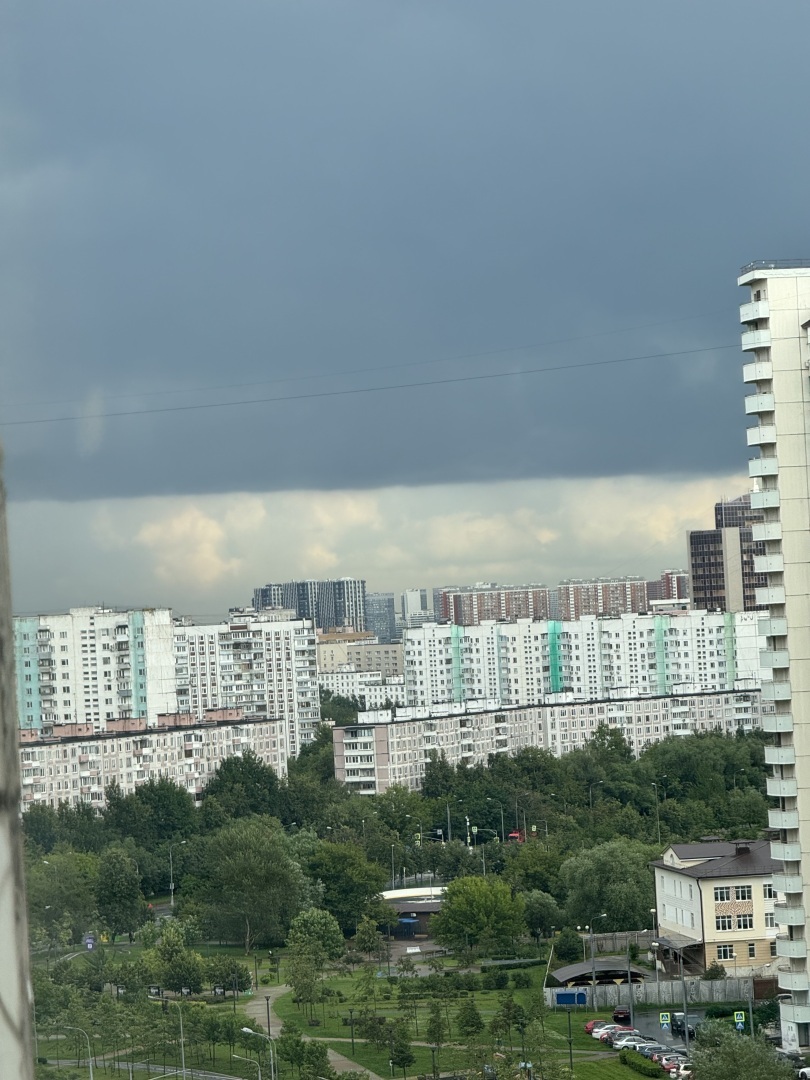 Меня с пешеходного перехода сигналом прогнала скорая помощь: обязан ли пешеход уступать дорогу скорой и имеет ли право скорая помощь пугать пешеходов