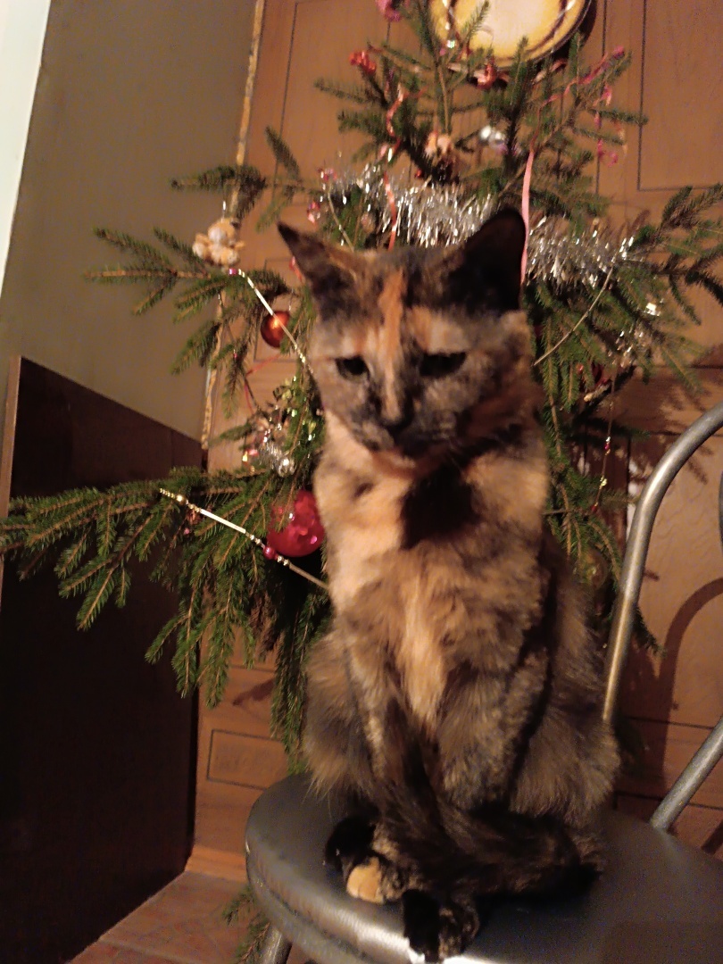 Октябрь прошёл / Кассандре и Гвидону.