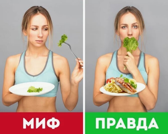 Стройность и социальный статус: правда или миф? Нужно ли быть богатым, чтобы оставаться стройным. Давайте разберемся