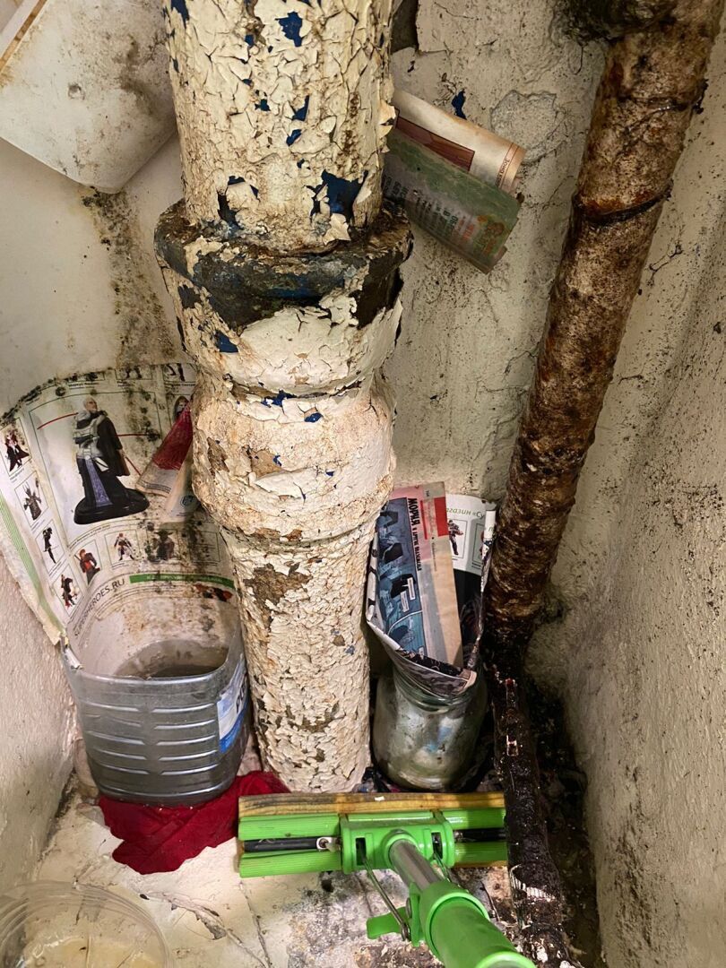 Жители дома в самом сердце Воронежа утопают в нечистотах. 18+