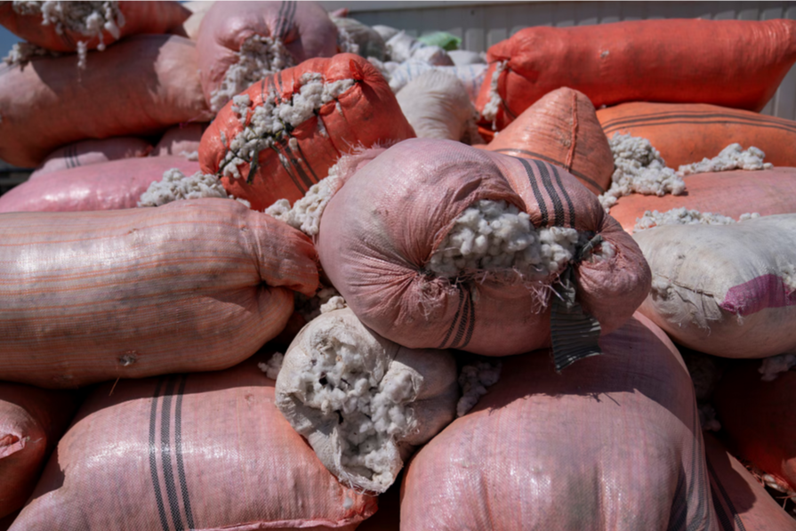 Запрет Талибана на опиум находится под угрозой из-за изменения климата, поскольку альтернативные культуры борются