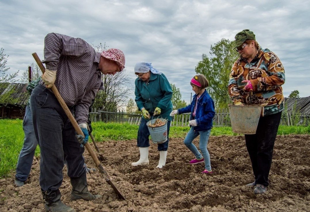 Дочь пропила
