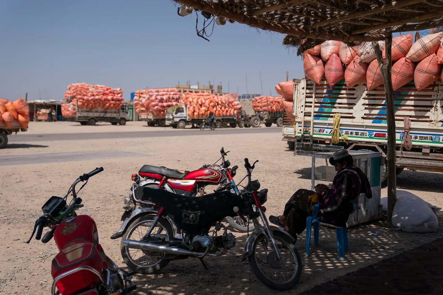 Запрет Талибана на опиум находится под угрозой из-за изменения климата, поскольку альтернативные культуры борются