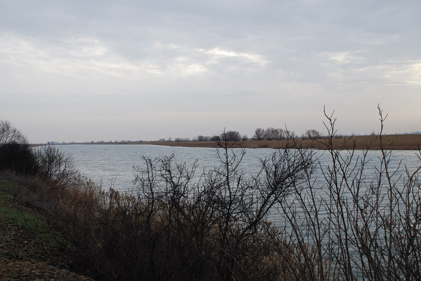 Я уже хотел купить участок земли и там что-то выращивать. Однако летом очень жарко и зной. А в 2024 и дождей нету.