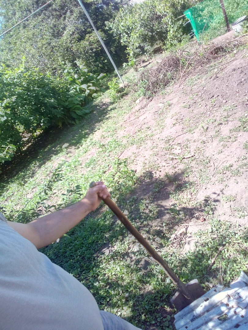 Ко мне на огород прилетел сегодня бумажный змей. А я думал, что дрон, и снес его лопатой