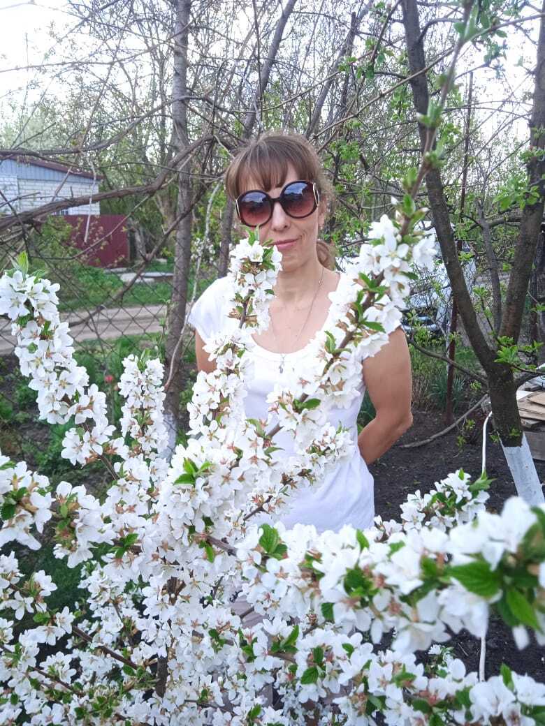 Войлочная вишня: красивый декоративный кустарник моего сада со сладкими красными ягодами похожими на бусы