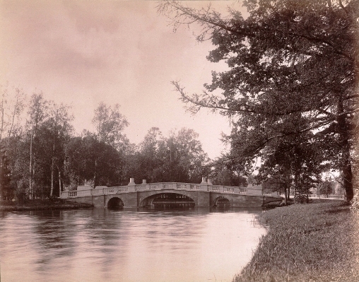 О чем молчат местные места. Парк Сильвия. Гатчина