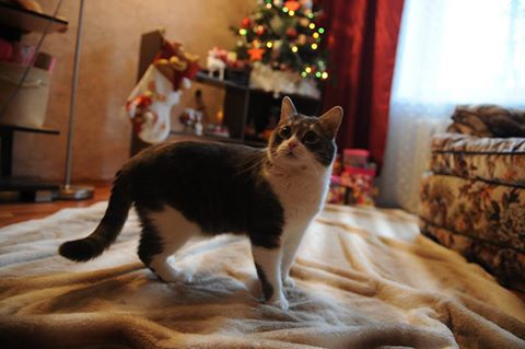 Когда случилось выгорание... возьмите в руки карандаш!