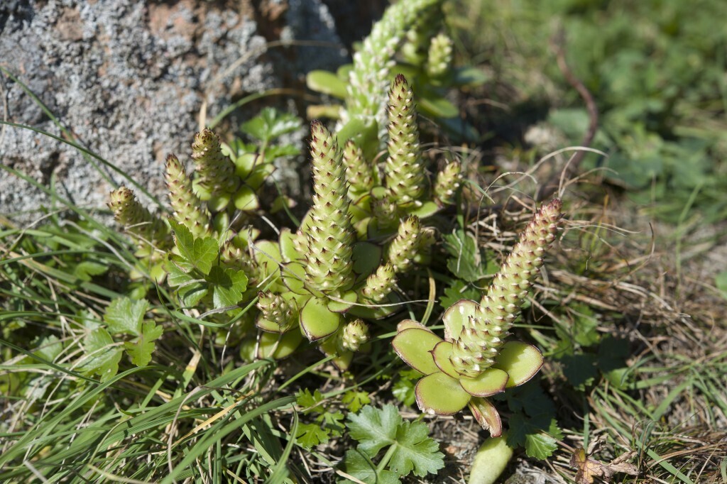 Редкие места России, про которые вы едва слышали.