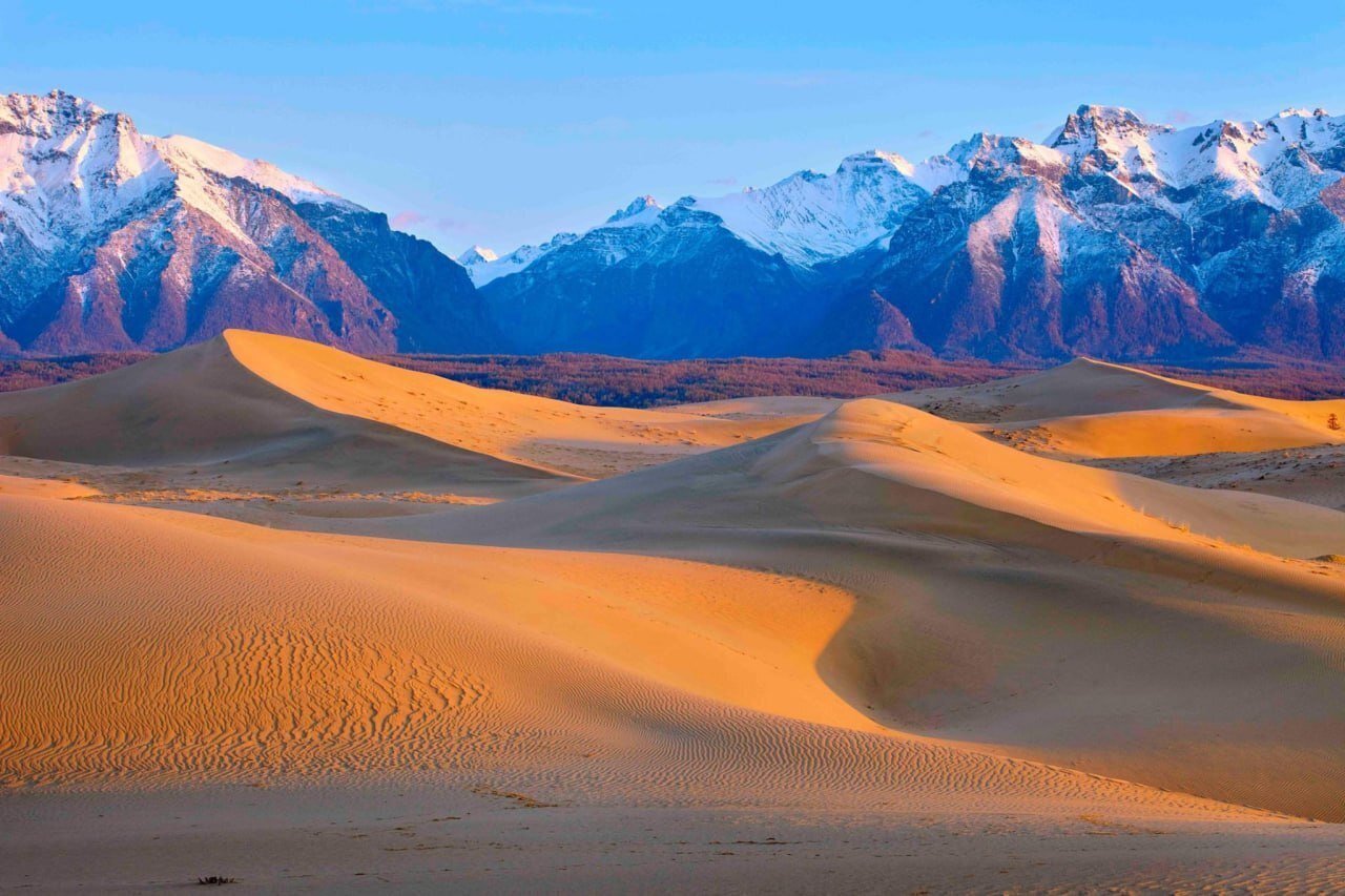 Чарские пески: Сибирский пустынный оазис среди тайги