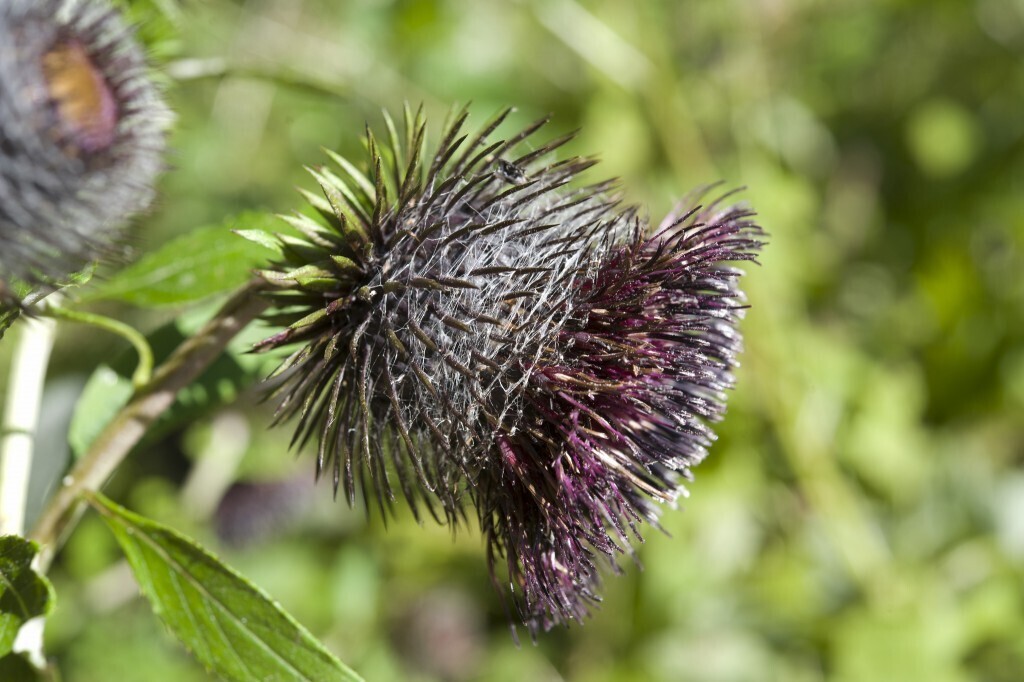 Редкие места России, про которые вы едва слышали.