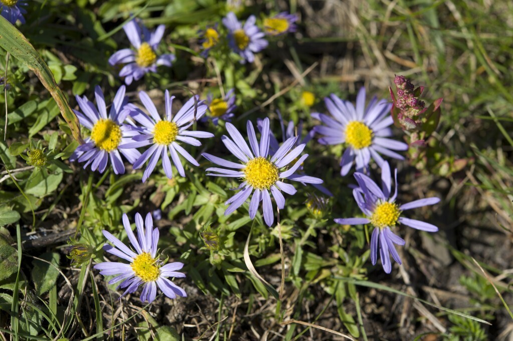 Редкие места России, про которые вы едва слышали.