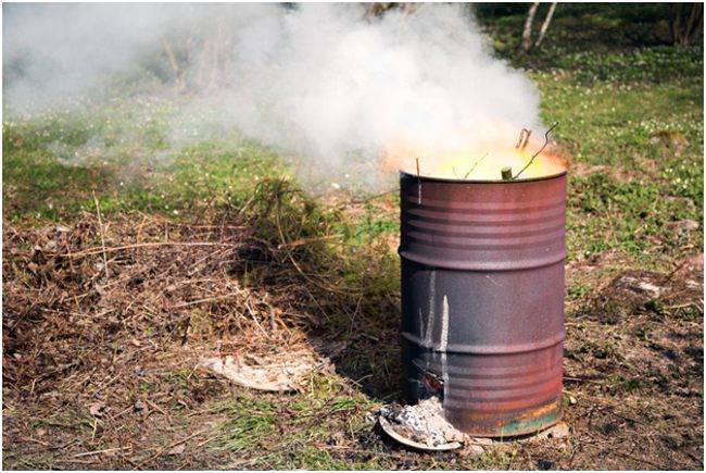 Штрафы для дачников! Какие штрафы ожидают дачников в 2024 году?