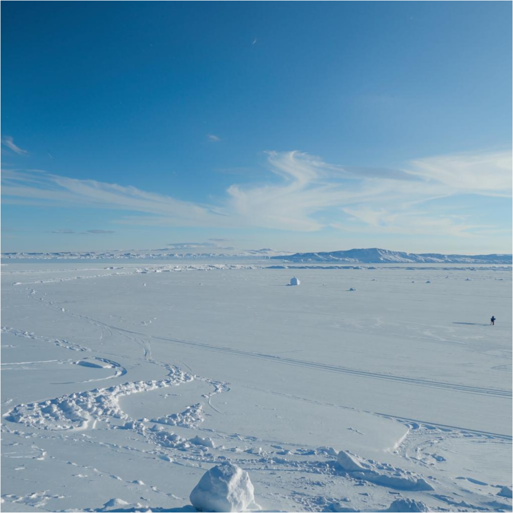 Интересные факты о Южном полюсе Земли