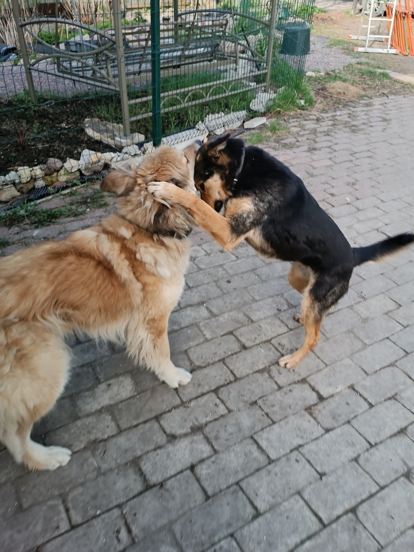 Человек располагающий / Часть первая/Теория вероятности (?)