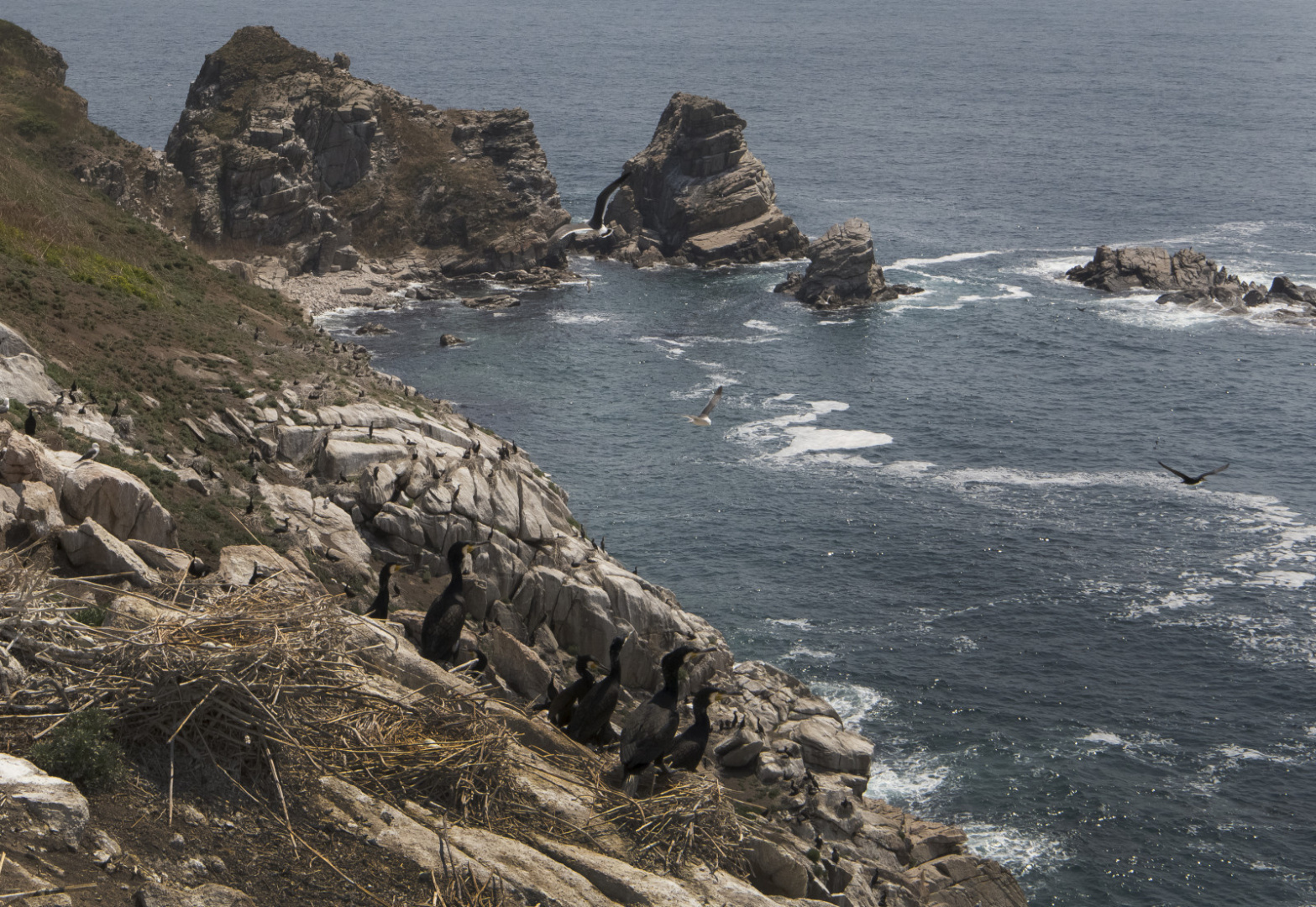 Замечательные уголки России.