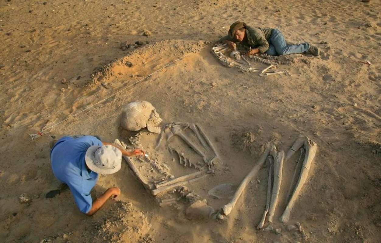 Вероятно, одной из самых захватывающих и загадочных тем в мире являются великаны. Они исторически присутствуют в легендах и мифах различных культур