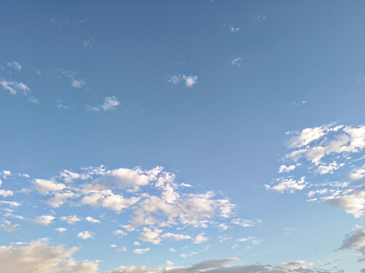 Живу без телевизора 20 лет. При этом в курсе новостей, видела все, что хотела увидеть. Что мне заменило зомбиящик, из которого столько мути льется...