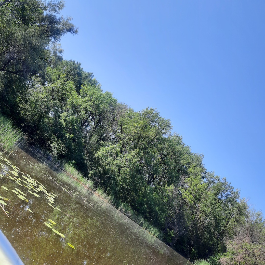 Виталий и его одиночество