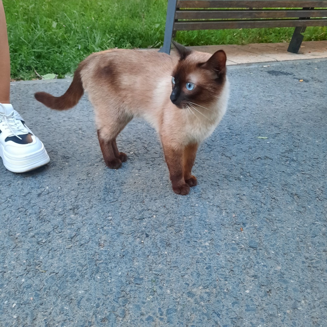 Виталий и его одиночество