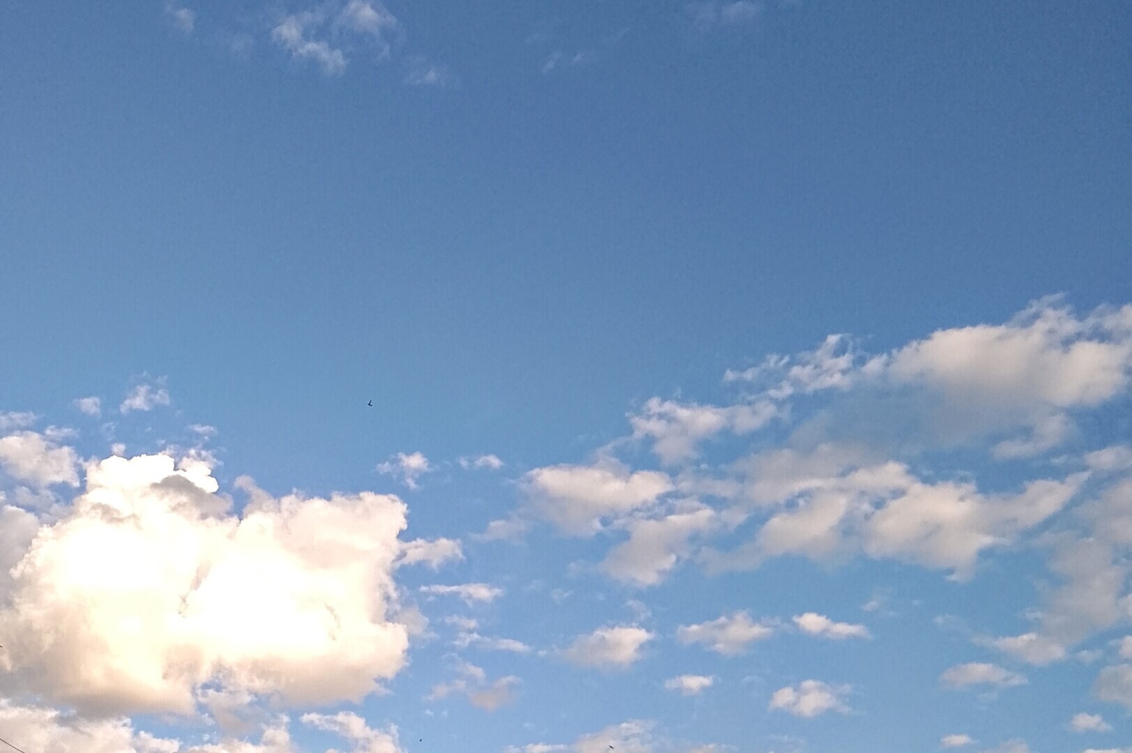 Живу без телевизора 20 лет. При этом в курсе новостей, видела все, что хотела увидеть. Что мне заменило зомбиящик, из которого столько мути льется...