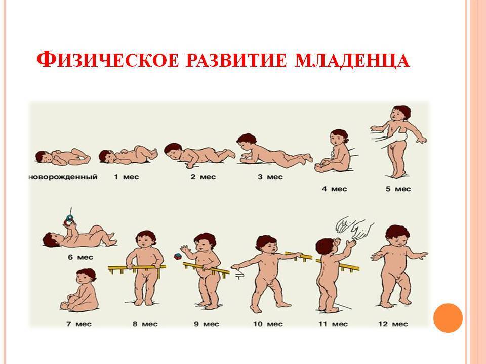 Рождение и развитие ребенка