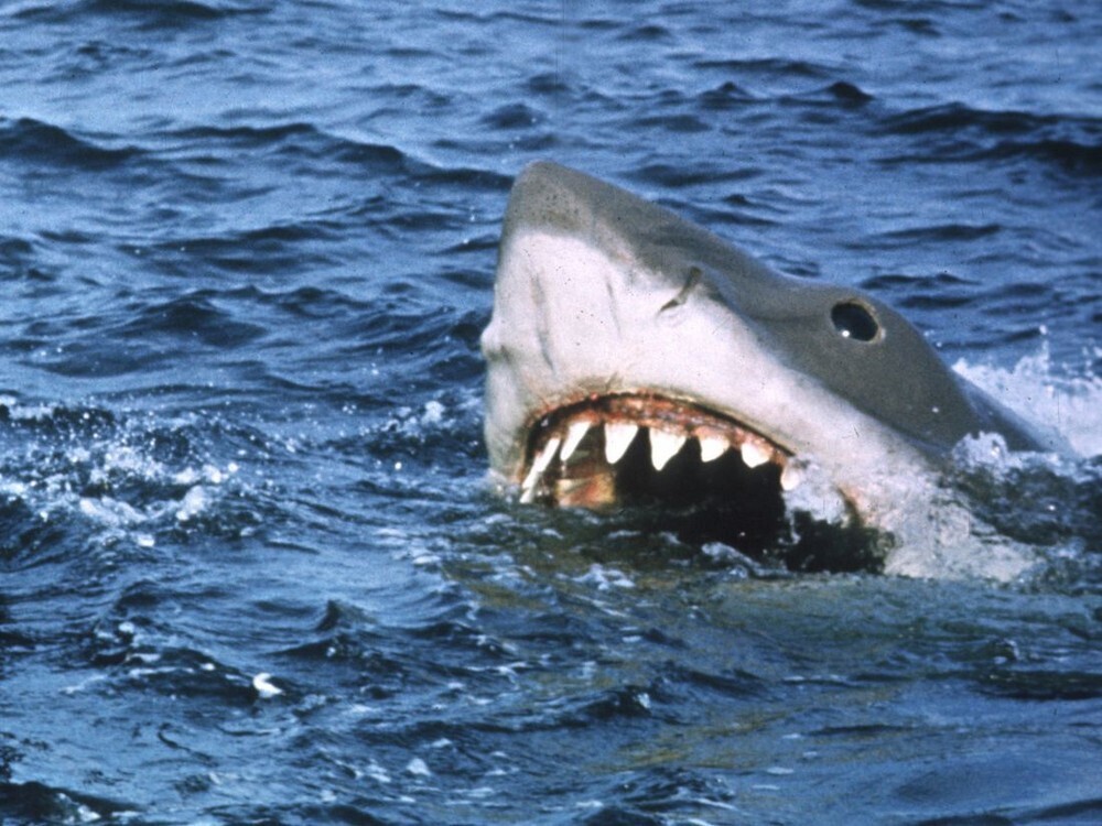 Один из культовых фильмов про Акулу