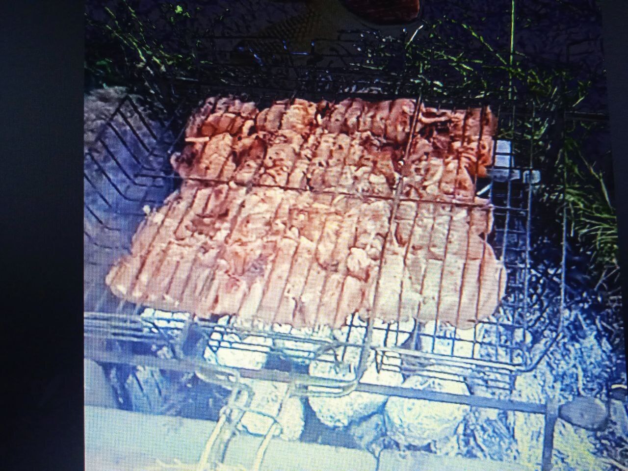 Отдых без шашлыков в нашей семье невозможен!!! Анадоль, Волновахский район — это кайф!!!