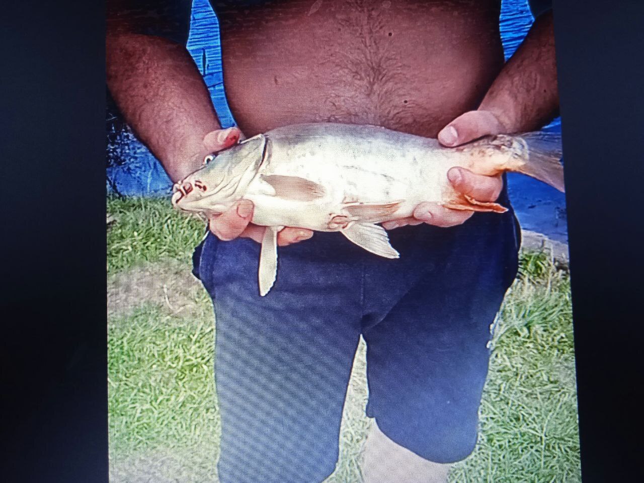 Отличный улов в Анадоль, Волновахский район!!! 15 килограмм зеркального карпа!!!