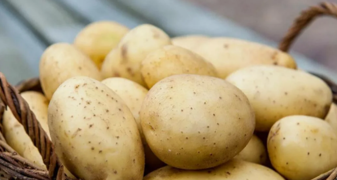 Увидела секрет у опытного дачника, который нужно использовать во время цветения, чтобы получить богатый урожай картошки