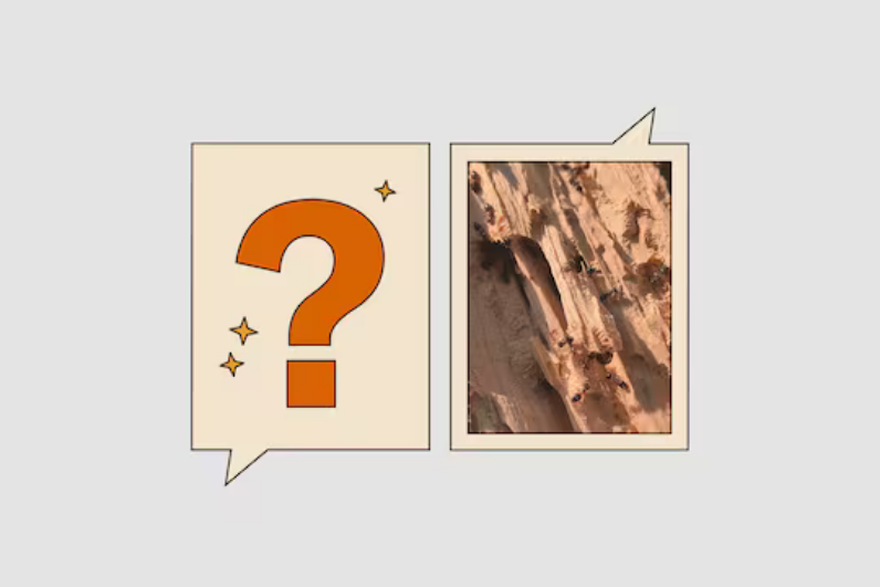 Кажется, у меня дома завелись муравьи-плотники. Что я должен делать?