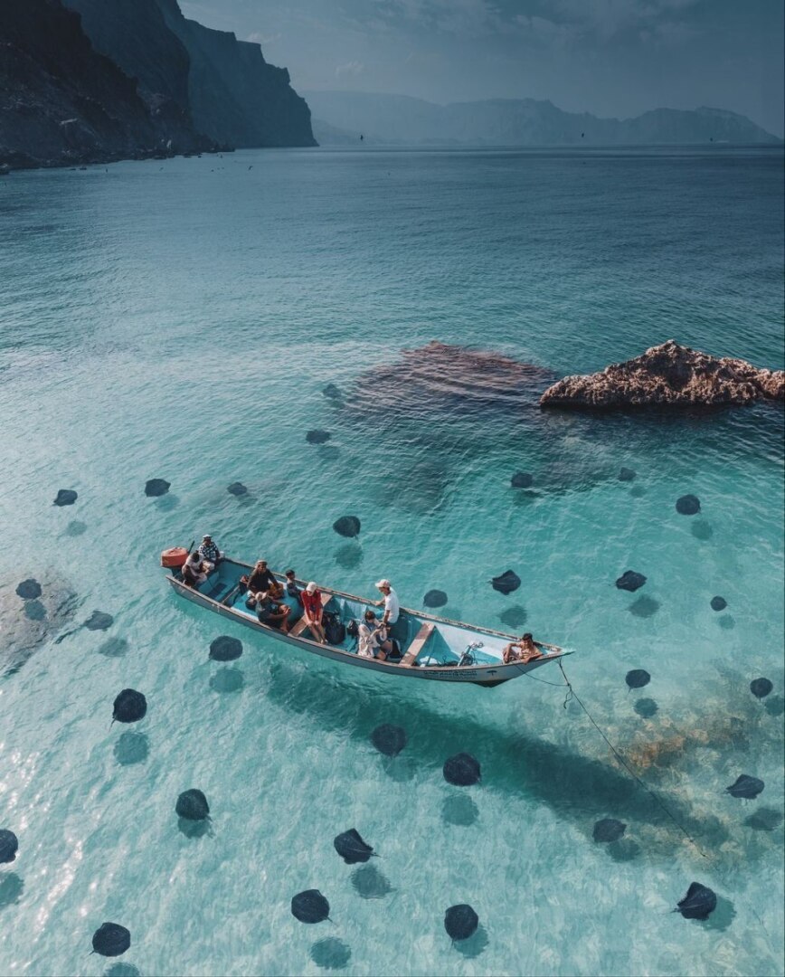 "Архипелаг Сокотра: природная сокровищница Йемена"