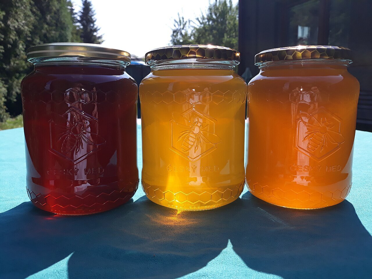 Договорился о покупке меда. Вопрос остался в количестве баллонов. Мед, вроде бы майский, акациевый, возможно с другими цветами.