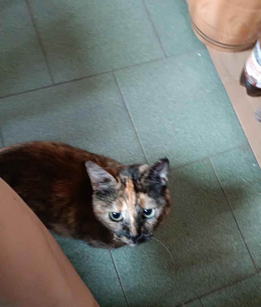 Человек располагающий/ Часть Вторая - "Закон Подлости"/ Драма "Песнь Кассандры". Акт 1. "Ловушка"