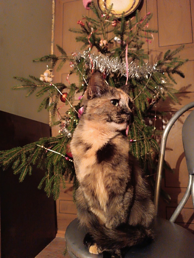 Человек располагающий/ Часть Вторая - "Закон Подлости"/ Драма "Песнь Кассандры". Акт 1. "Ловушка"