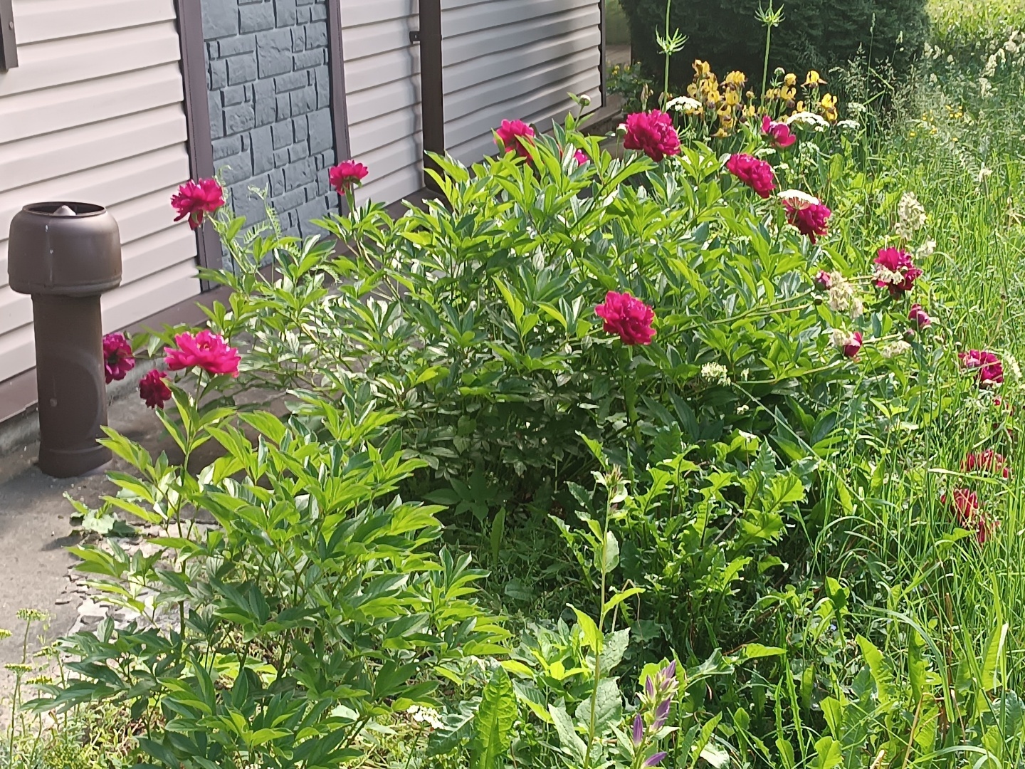 Человек располагающий/ Часть Вторая - "Закон Подлости"/ Драма "Песнь Кассандры". Акт 1. "Ловушка"