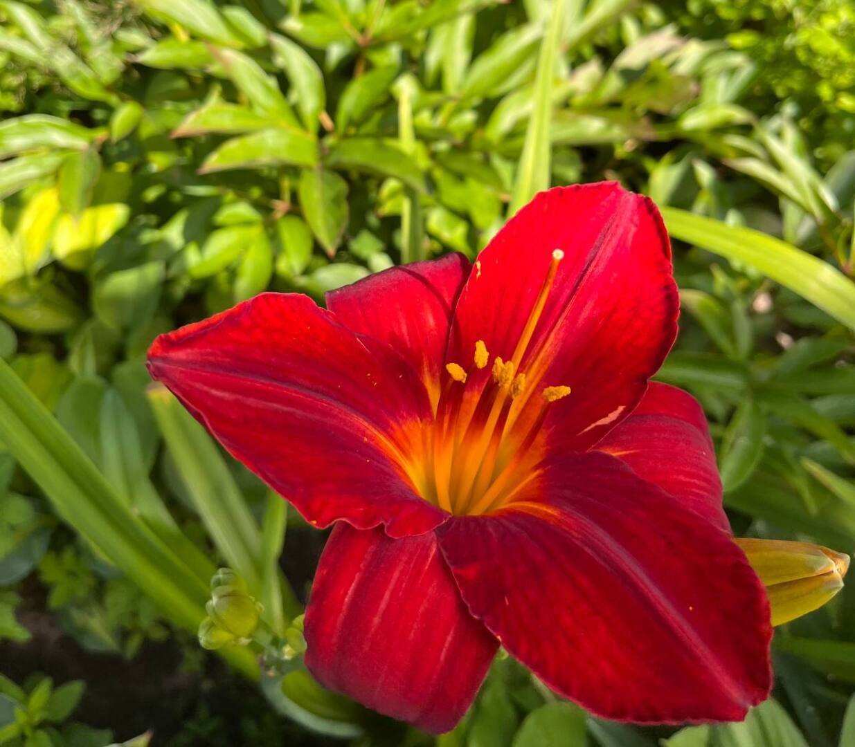 Права пассажира при задержке рейса: отдыхай и ешь бесплатно за счет авиакомпании. Личные истории