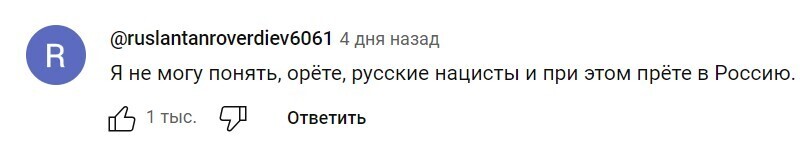 Госдума со своей миграционной политикой скоро доведёт народ до крайностей: В метро женщина с ножом набросилась на покрытую девушку