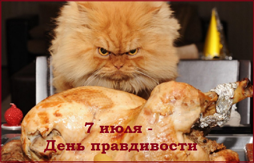 🤗Котопозитивчик пяти праздников❤️