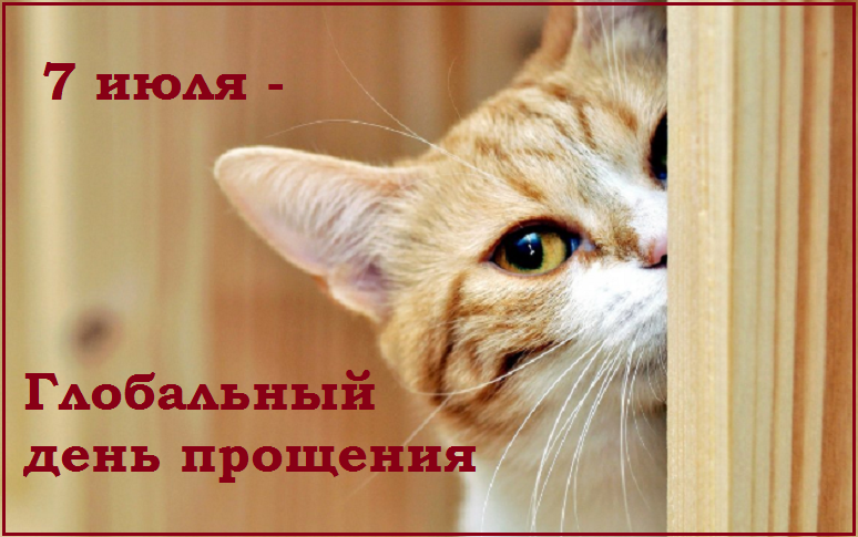 🤗Котопозитивчик пяти праздников❤️