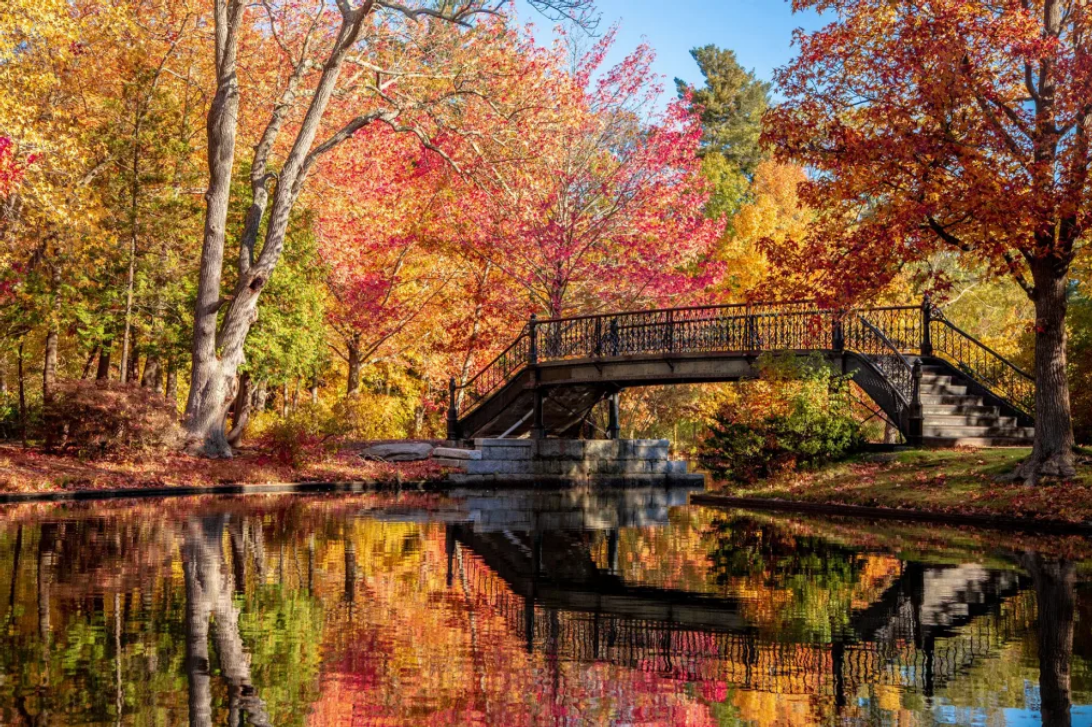 Город, который передвинул реки и стал культурной столицей Англии
