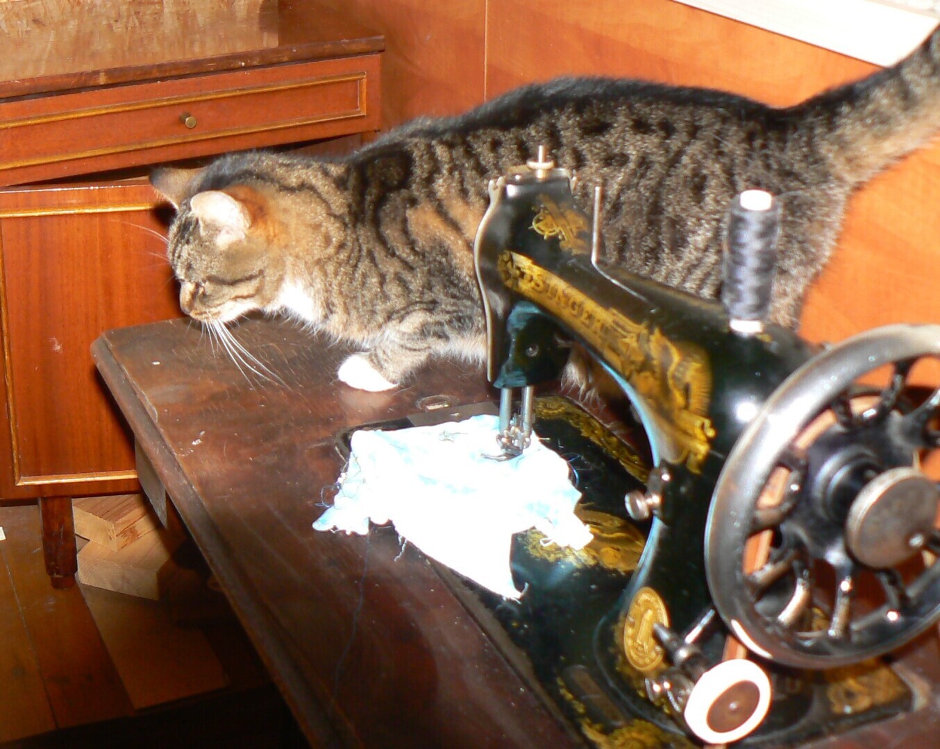 Человек располагающий/ Часть Вторая - "Закон Подлости"/ Драма "Песнь Кассандры". Акт 2. "Из мышеловки"